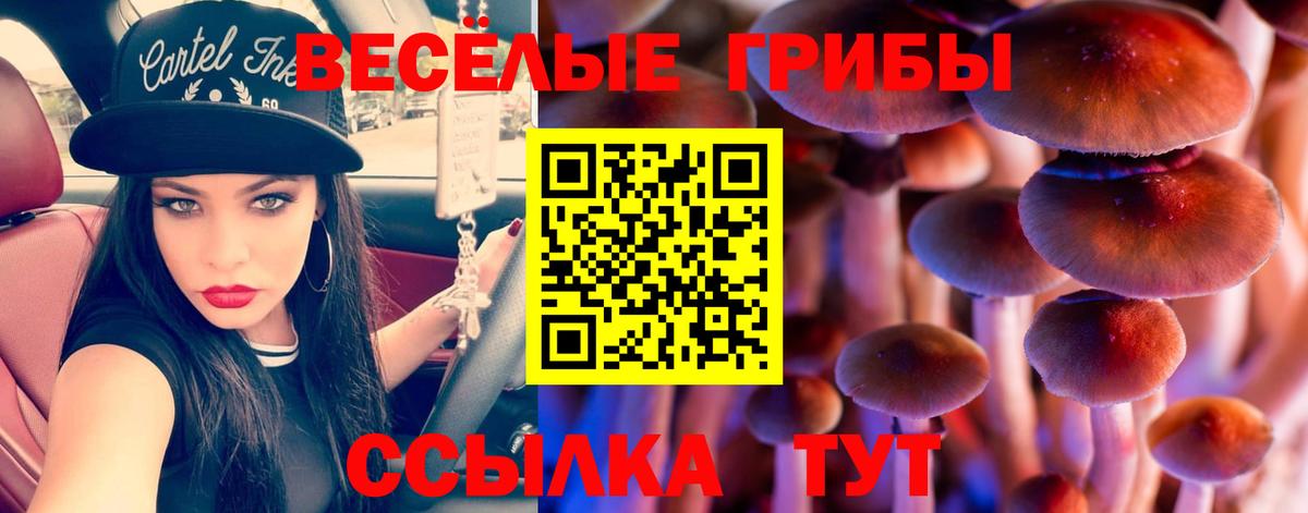 Волжск  Псилоцибиновые грибы мухоморы  Вход с VPN 
